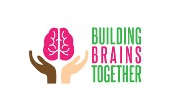 building brains 6